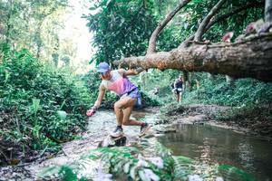 BIB: 
                            <button type="button" onclick="openModal(25432994)" class="btn btn-primary btn-sm float-right btn-popup" data-toggle="modal" data-target=".modal-high-quality">
                        <i class="fas fa-shopping-cart"></i> Add to Cart
                    </button>
                                            <button type="button" onclick="isThisMe(25432994, true)" class="btn btn-success btn-sm float-right btn-popup btn-isme hidden" data-toggle="tooltip" data-placement="bottom" title="นี่คือรูปของคุณใช่ไหม คลิกที่นี่เพื่อเอาเข้าอัลบั้ม">
                        <i class="fas fa-plus"></i> Add to album
                    </button>
                    <button type="button" onclick="isThisMe(25432994, false)" class="btn btn-warning btn-sm float-right btn-popup btn-isnotme hidden">
                        <i class="fas fa-ban"></i> Remove from album
                    </button>